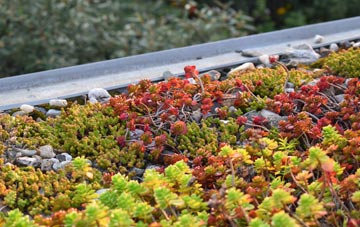 the cost of Hayfield Green green roof installation