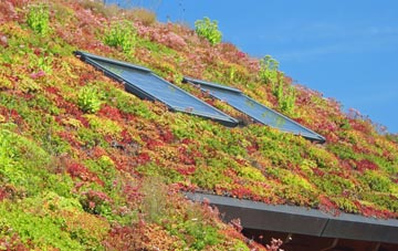 Hayfield Green living roof systems