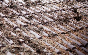 Hayfield Green roof cleaning companies