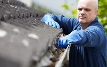cleaning and inspecting Hayfield Green roofs