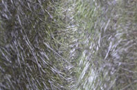 Hayfield Green fibreglass roof work